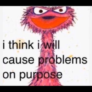 Meet your Posher, Hailey